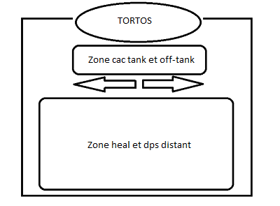 4. Tortos la tortue Sch-ma-tortos-3cf4876